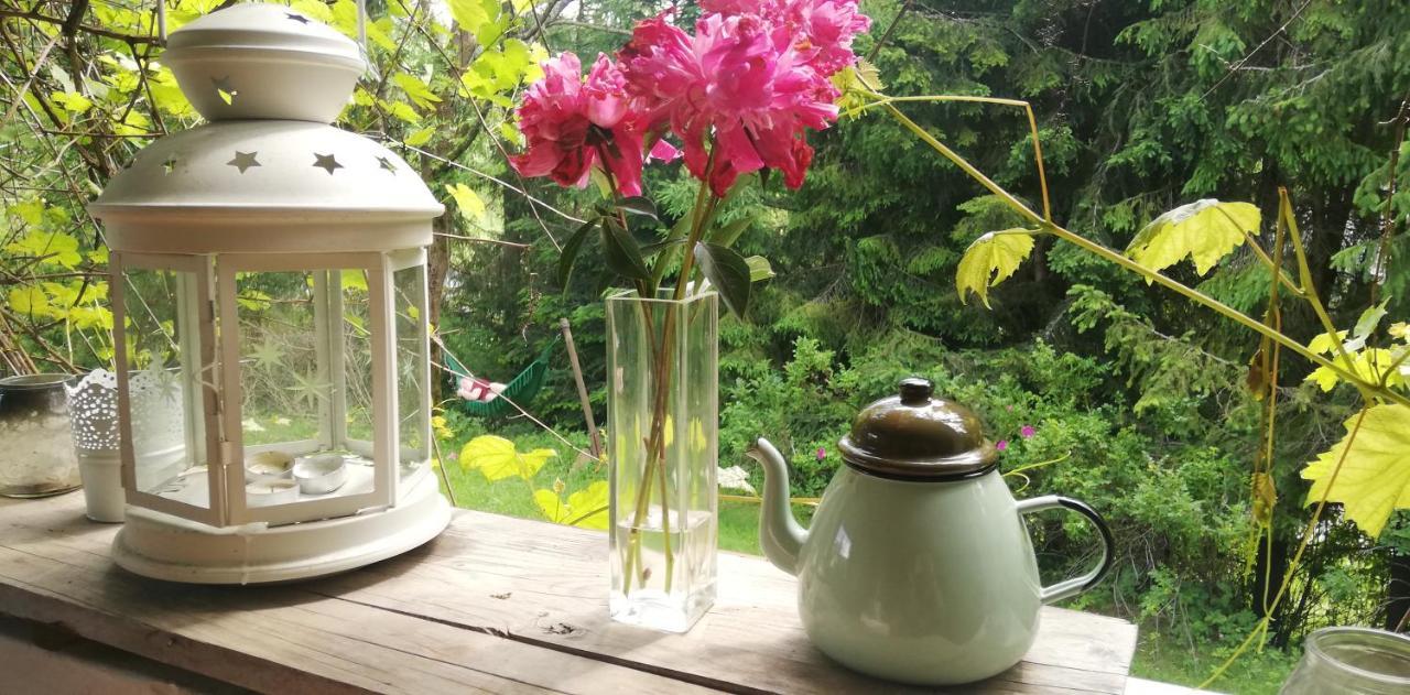 Wludzikowka Villa Polana Eksteriør bilde